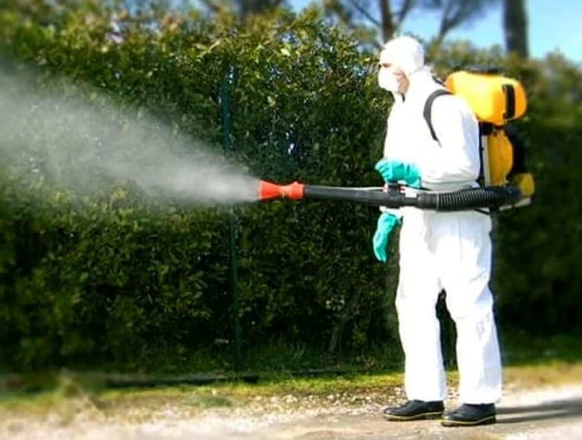 Caltagirone: mercoledì 3, giovedì 4 e venerdì 5 aprile, servizio di disinfestazione per contrastare la proliferazione di insetti e parassiti - 