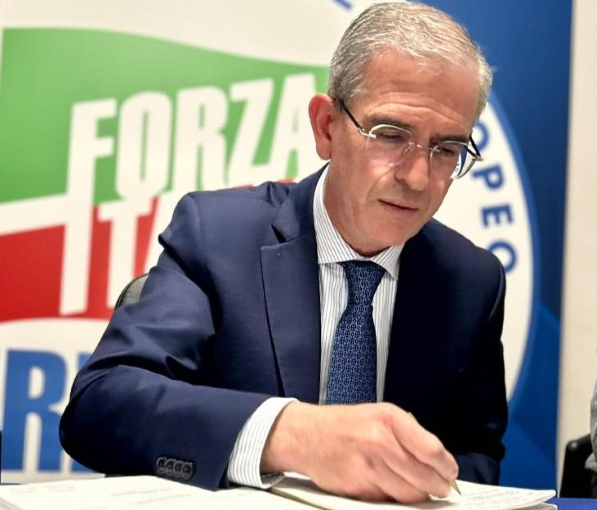 Elezioni Europee 2024, Falcone (FI): "Lavoriamo con coerenza per dare voce alle Isole d’Italia" - 