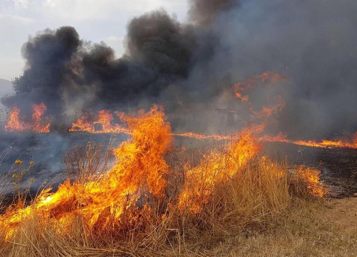 Caltagirone: pulizie dei terreni per prevenire gli incendi entro il 10 giugno, lo stabilisce un'ordinanza del sindaco - 
