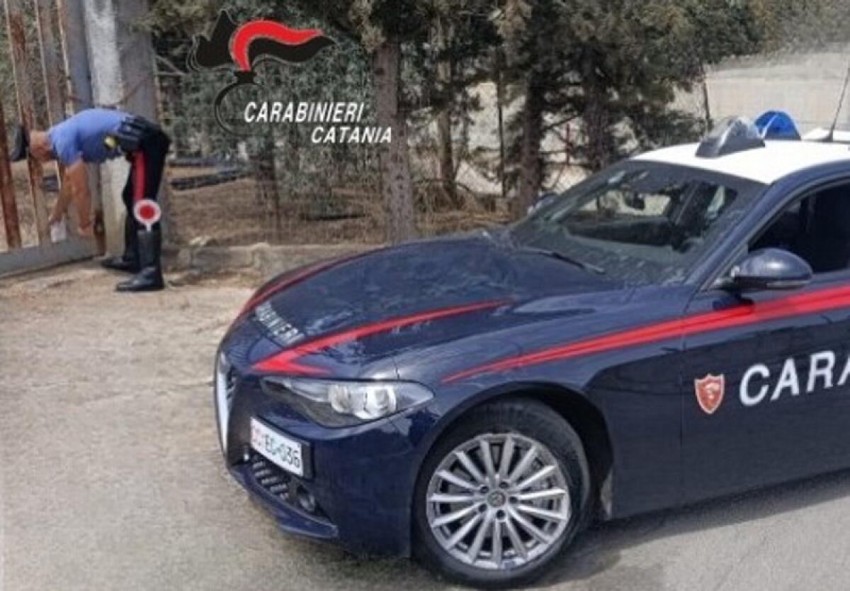 Palagonia: i Carabinieri arrestano spacciatore con 15 grammi di cocaina - 