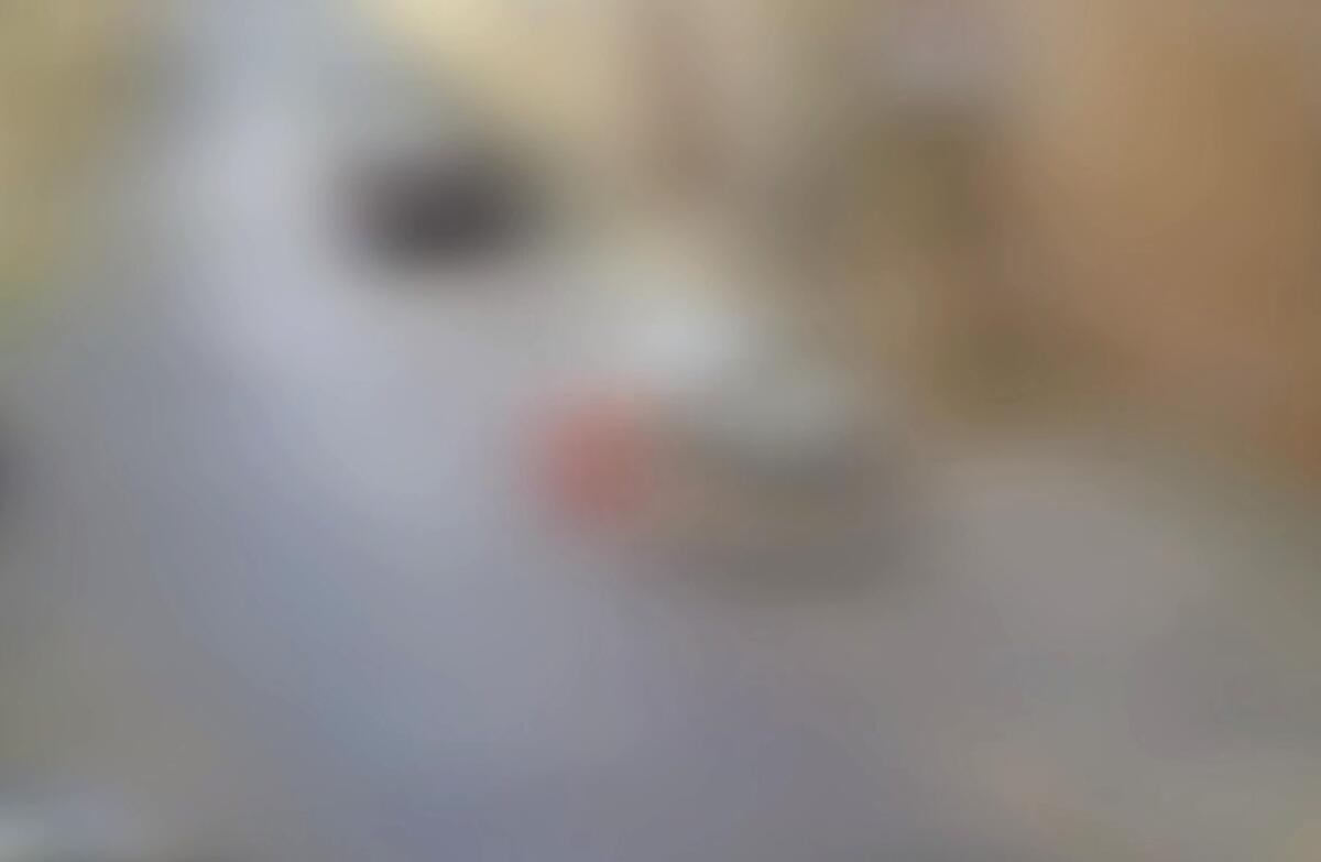 Caltagirone: multa da 600 euro a chi ha abbandonato rifiuti ingombranti deturpando la città - 