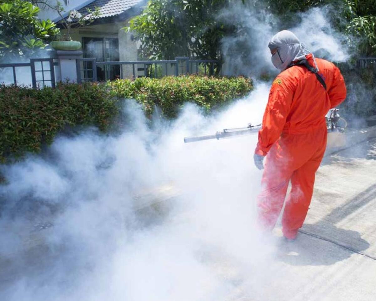 A Caltagirone disinfestazione per contrastare la proliferazione di insetti e parassiti nelle notti del 2, 5 e 9 agosto - 