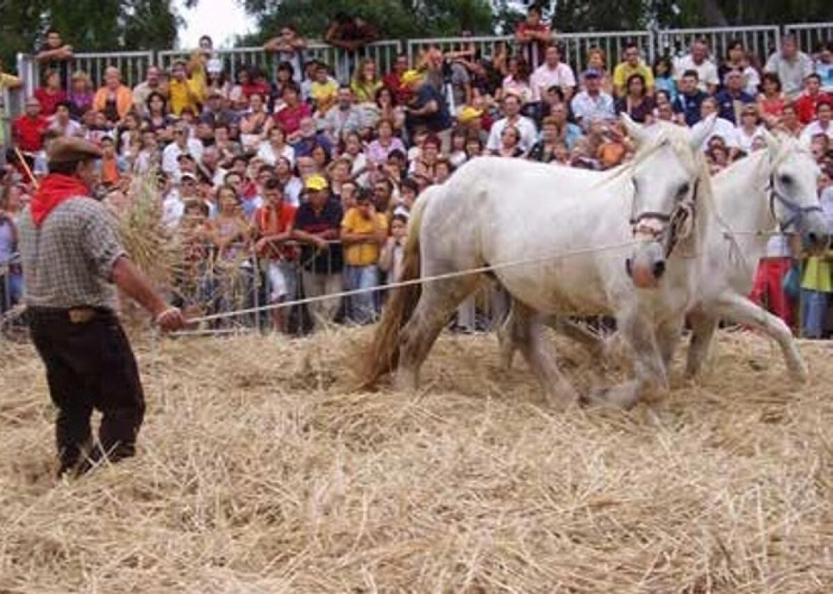 Raddusa: il 6,7 e 8 settembre la 28^ edizione della "Festa del Grano" - 