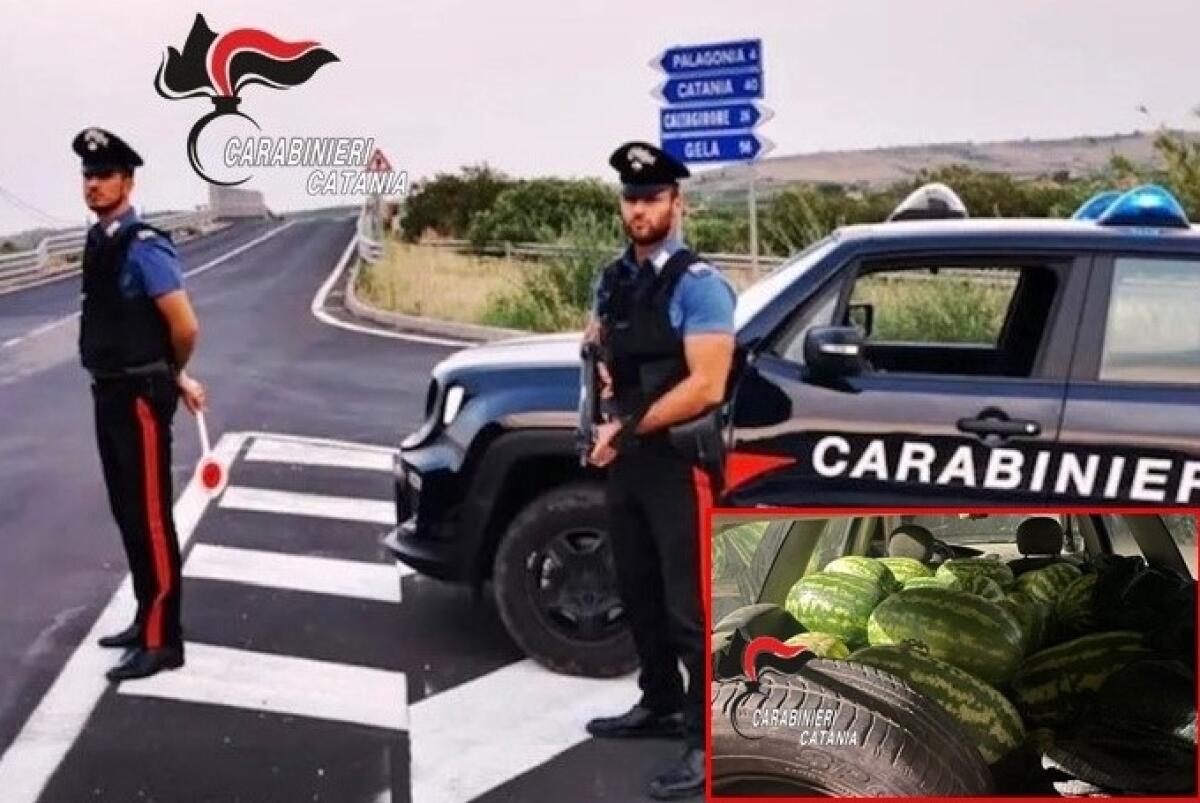 Ramacca: rubano 500 kg di angurie, due catanesi denunciati dai Carabinieri per furto - 