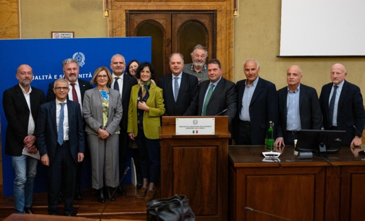 Emergenza idrica in Sicilia: “Filiere e reti: un "Focus agrumicoltura per una gestione condivisa della risorsa idrica" - 