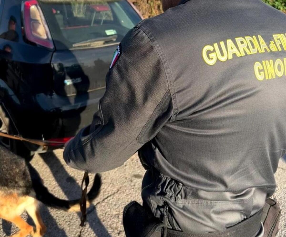 Controlli delle Fiamme Gialle in tutto il territorio provinciale: elevati verbali ed effettuati sequestri - 