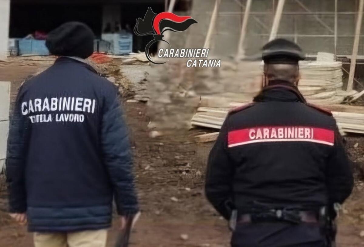 Attività ispettiva dei Carabinieri del N.I.L. e della territoriale di Catania a Ramacca e Mineo - 