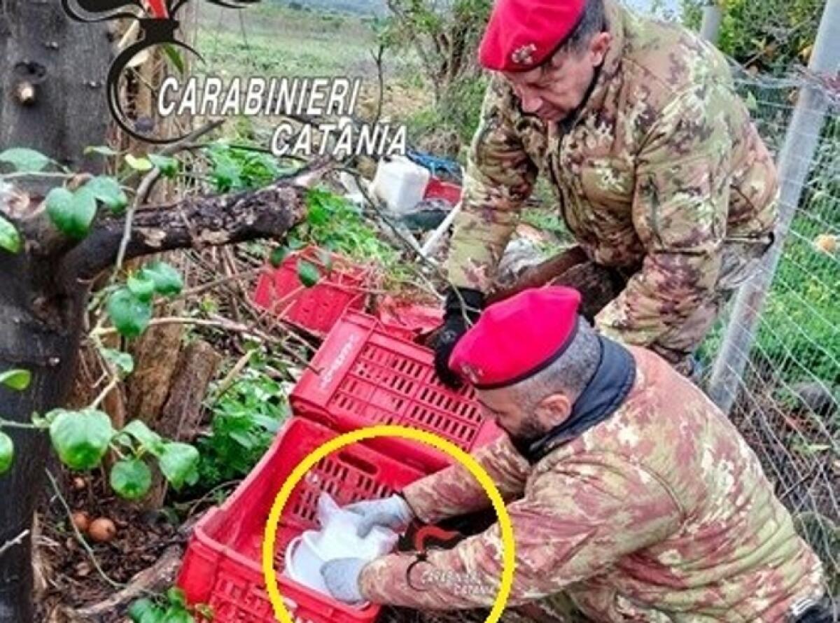 Palagonia: 57enne arrestato dai Carabinieri che scovano anche 1 kg di cocaina - 