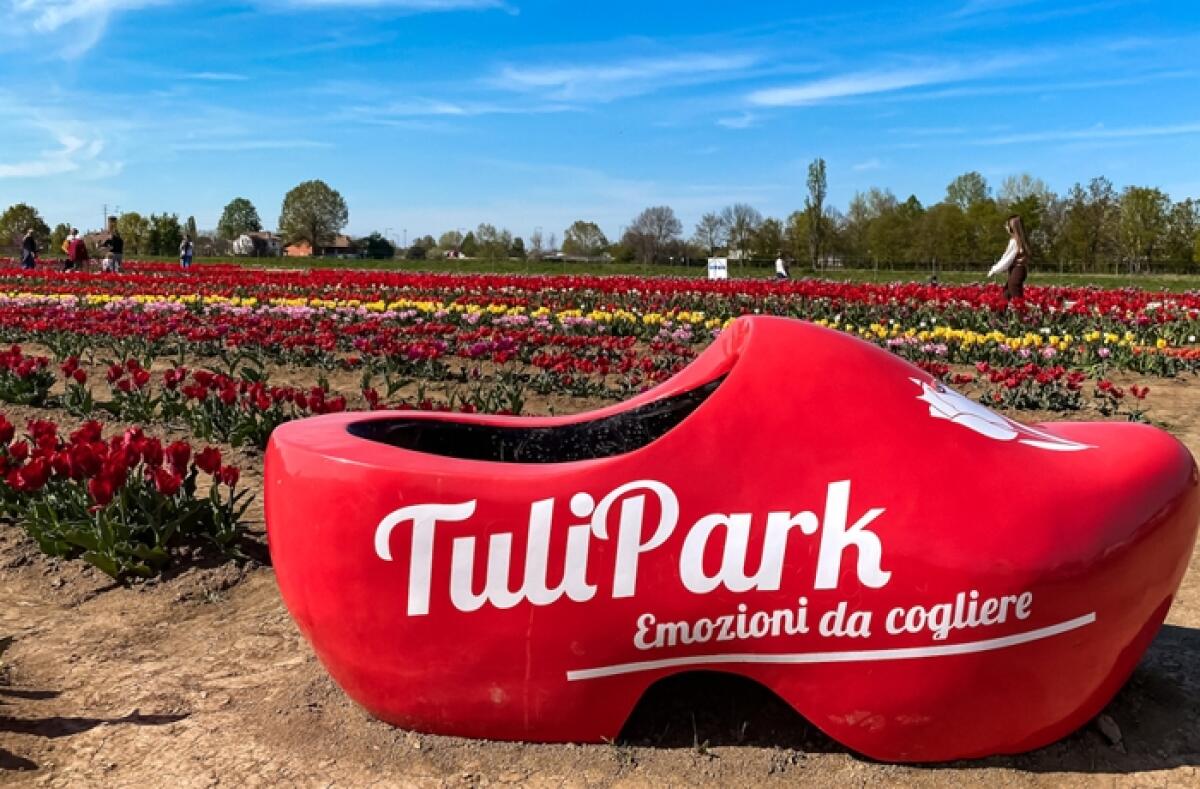 Caltagirone: un angolo di Olanda, un suggestivo parco fiorito dal 10 marzo al 15 aprile - 