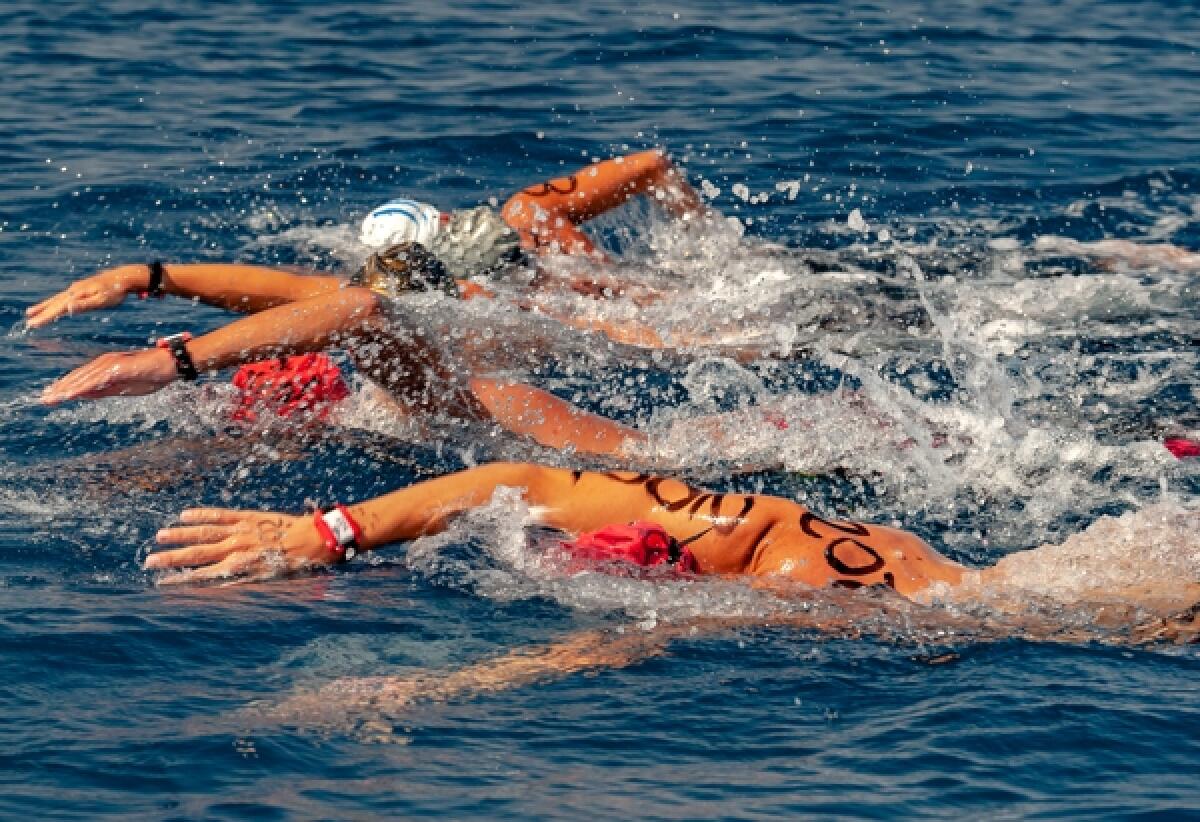 Nuoto: torna il Grand Prix Sicilia Openwater 2025, prima tappa giovedì 29 giugno a Brolo - 