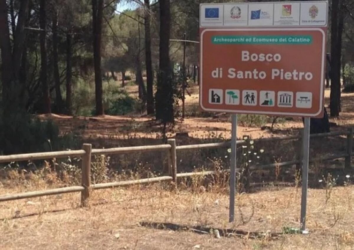 Caltagirone: impianto antincendio all'Avanguardia nel Bosco Di Santo Pietro, sabato 24 maggio l'inaugurazione - 