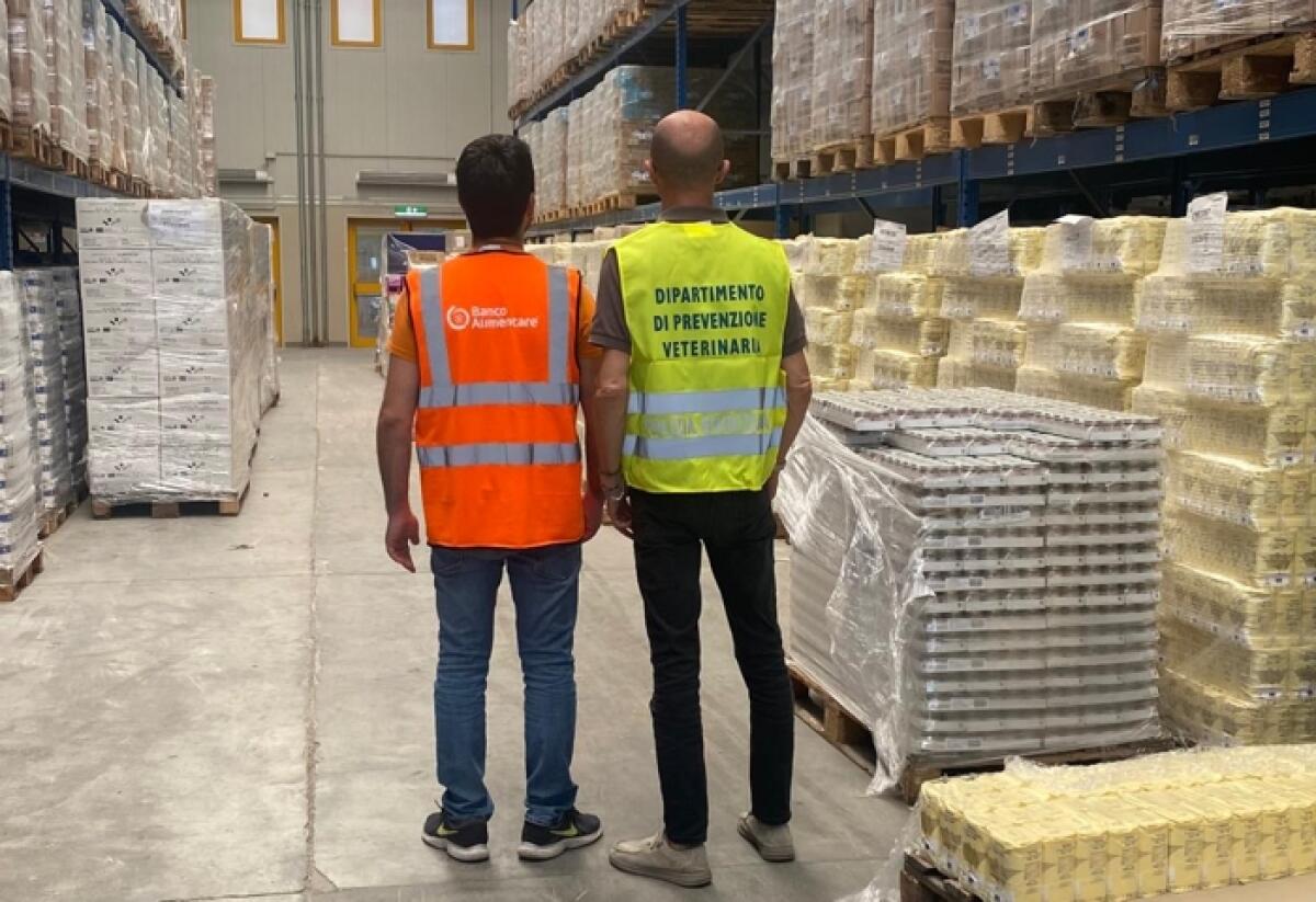 Catania: oltre 10 tonnellate di Tonno Rosso sequestrato e donato in sei mesi dal Dipartimento di Prevenzione Veterinaria dell'ASP - 