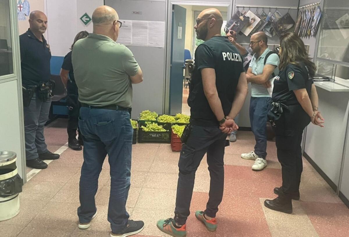 Caltagirone: sequestrato un quintale di uva di sospetta provenienza. Raffica di controlli in città - 