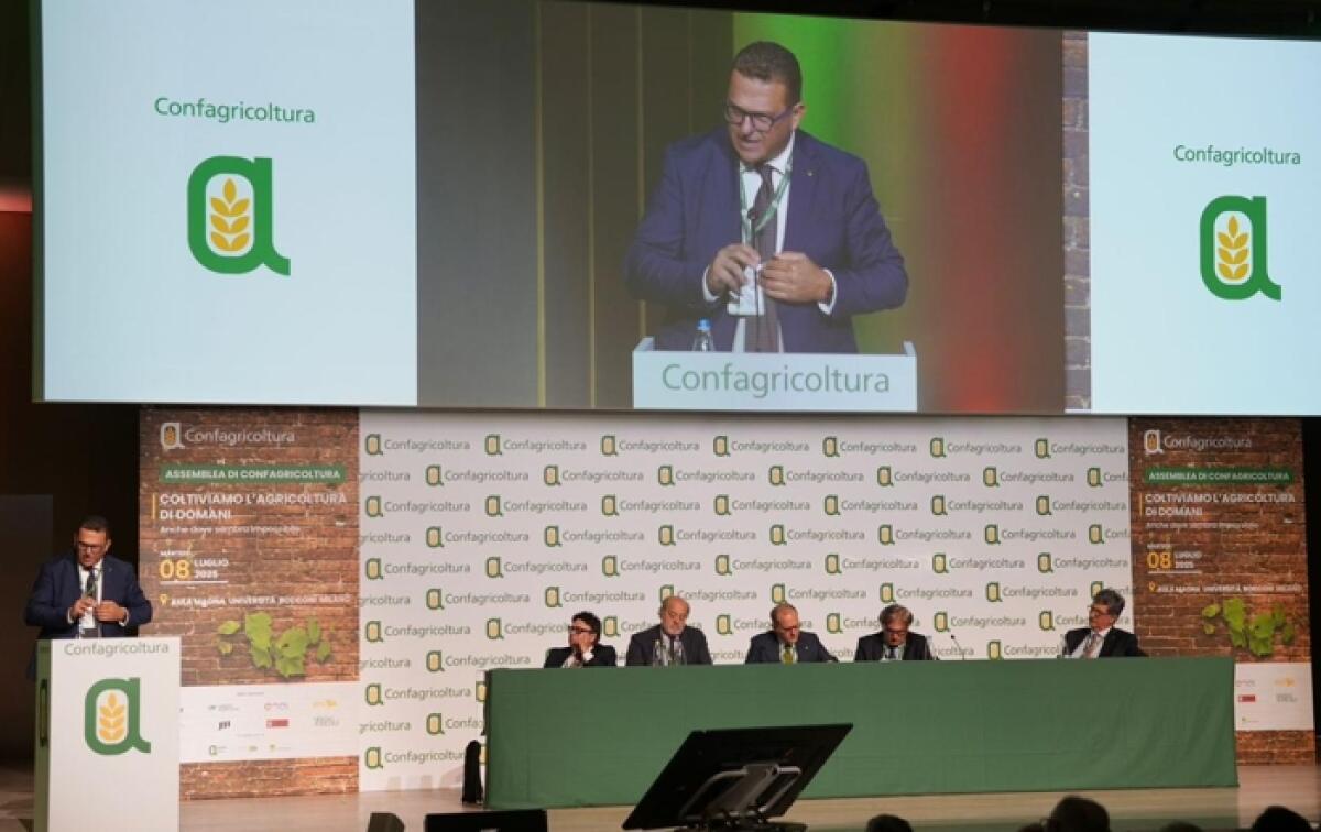 Sicilia, Confagricoltura Sicilia: "Siccità drammatica, intervento governativo urgente" - 