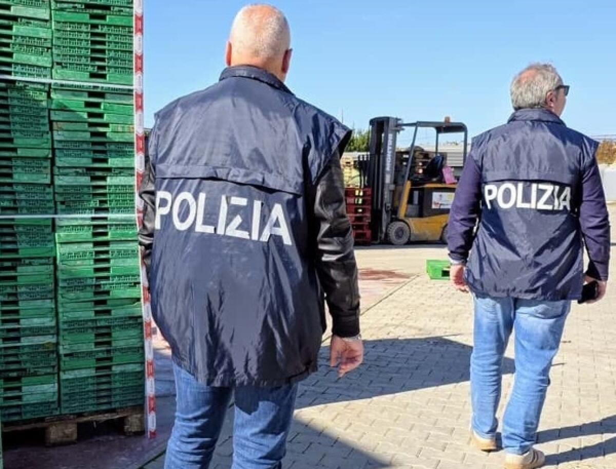 Mazzarrone: controlli straordinari interforze, riscontrate irregolarità in un’azienda agricola - 