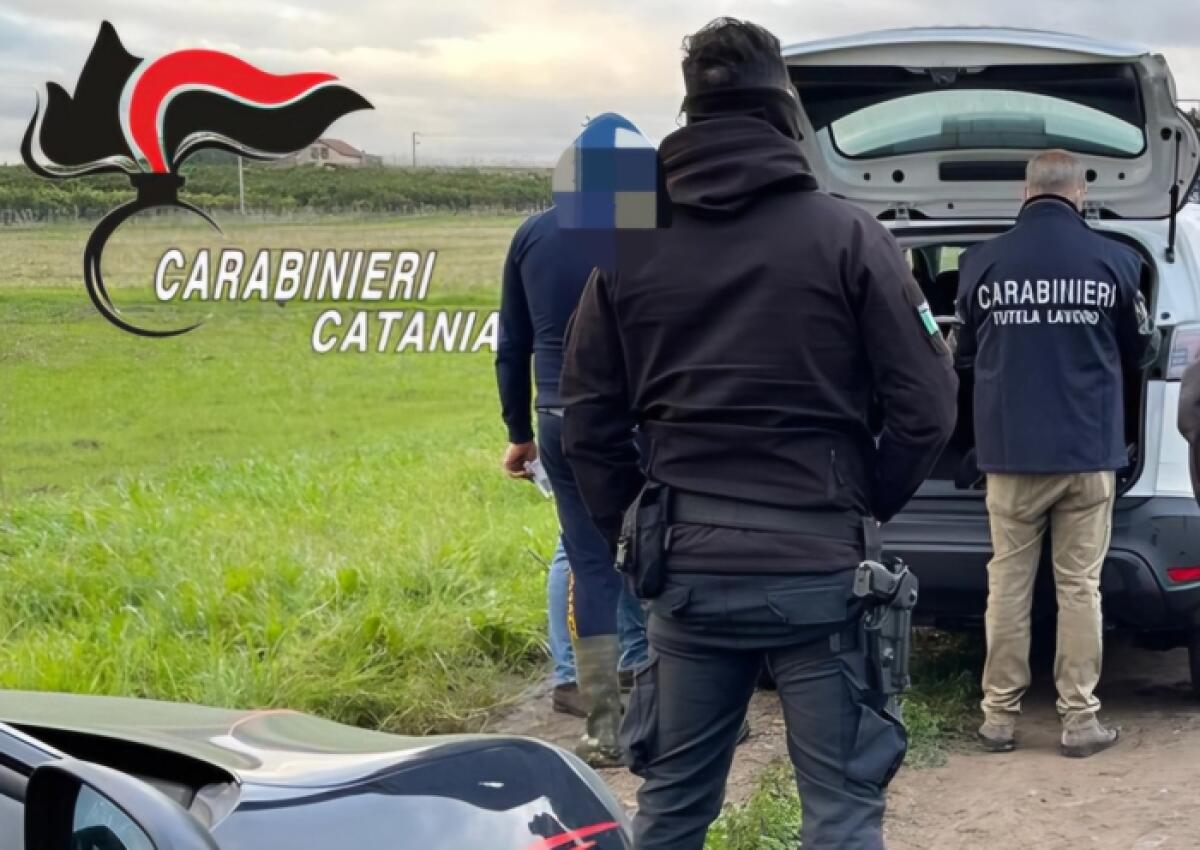 Mineo e Scordia: controlli dei Carabinieri contro il caporalato, denunce e sospensioni in alcune aziende - 