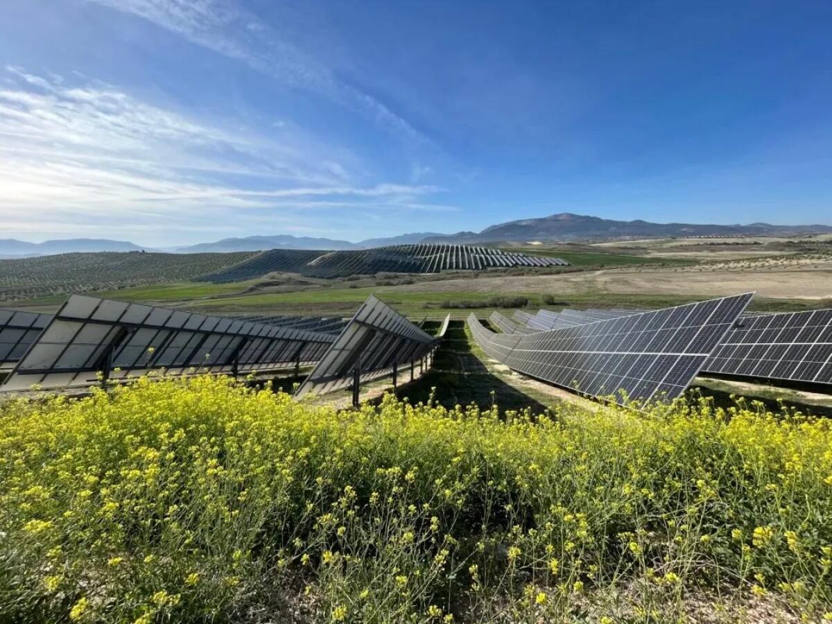 Cinque megaimpianti rinnovabili a Caltagirone: compensazioni ambientali per scuole e opere pubbliche - 