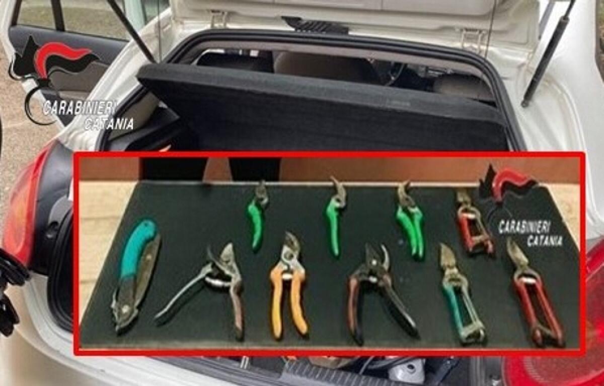 Lite in strada a San Cono: 62enne denunciato per minacce e aggressione all’ex genero - 