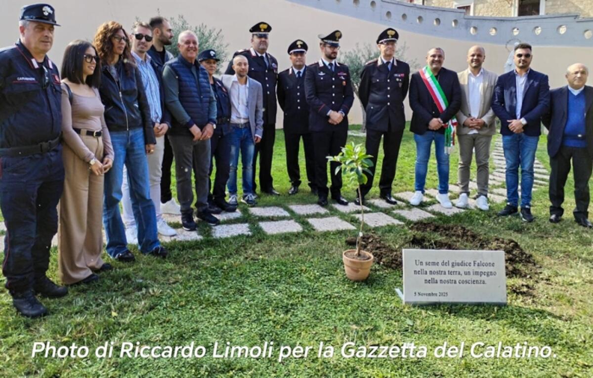 Ramacca: “L’Albero di Falcone”, la memoria che diventa futuro - 
