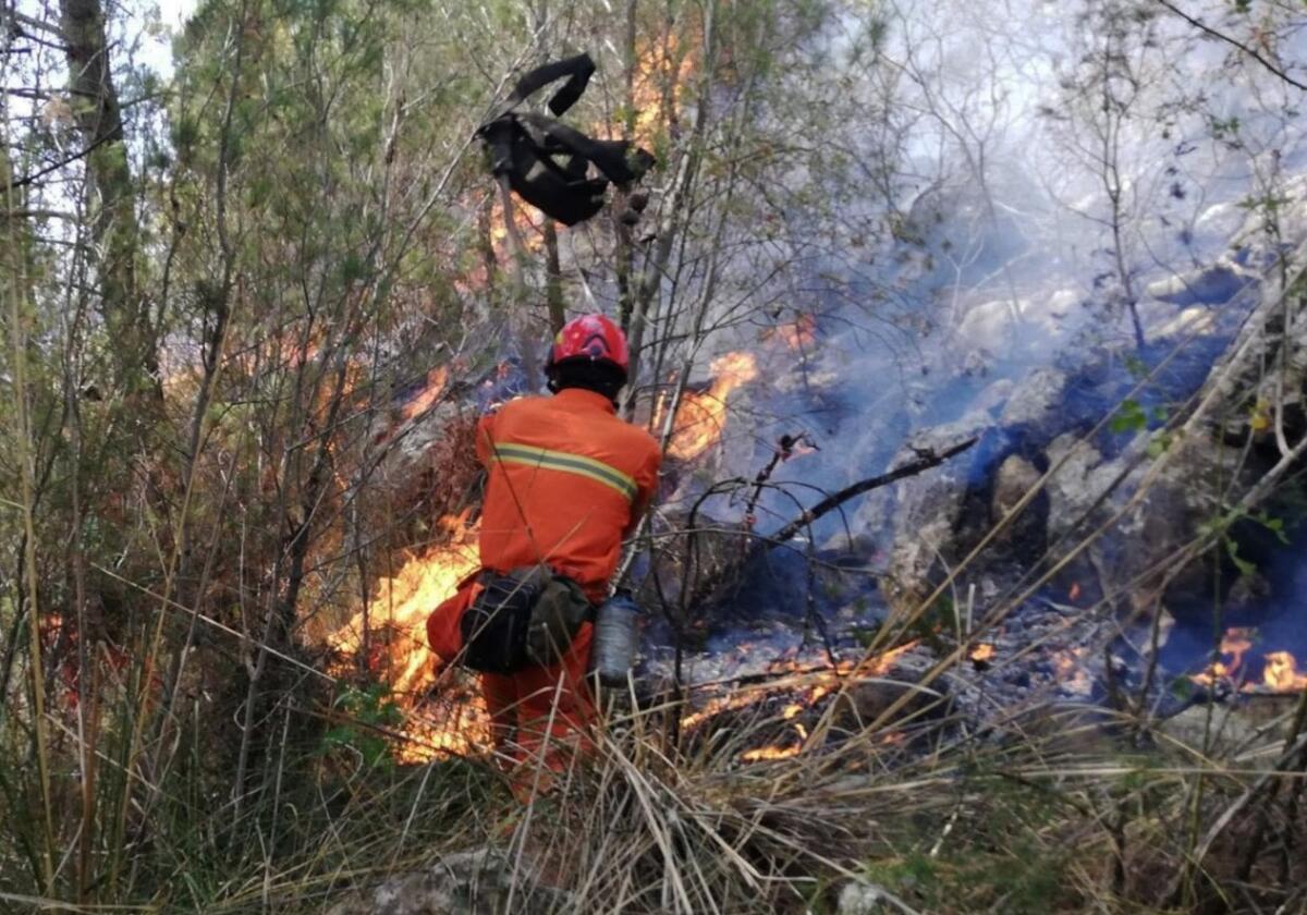 Forestali e antincendio, dall'Assemblea Regionale Siciliana via libera al piano triennale da 873 milioni di euro - 