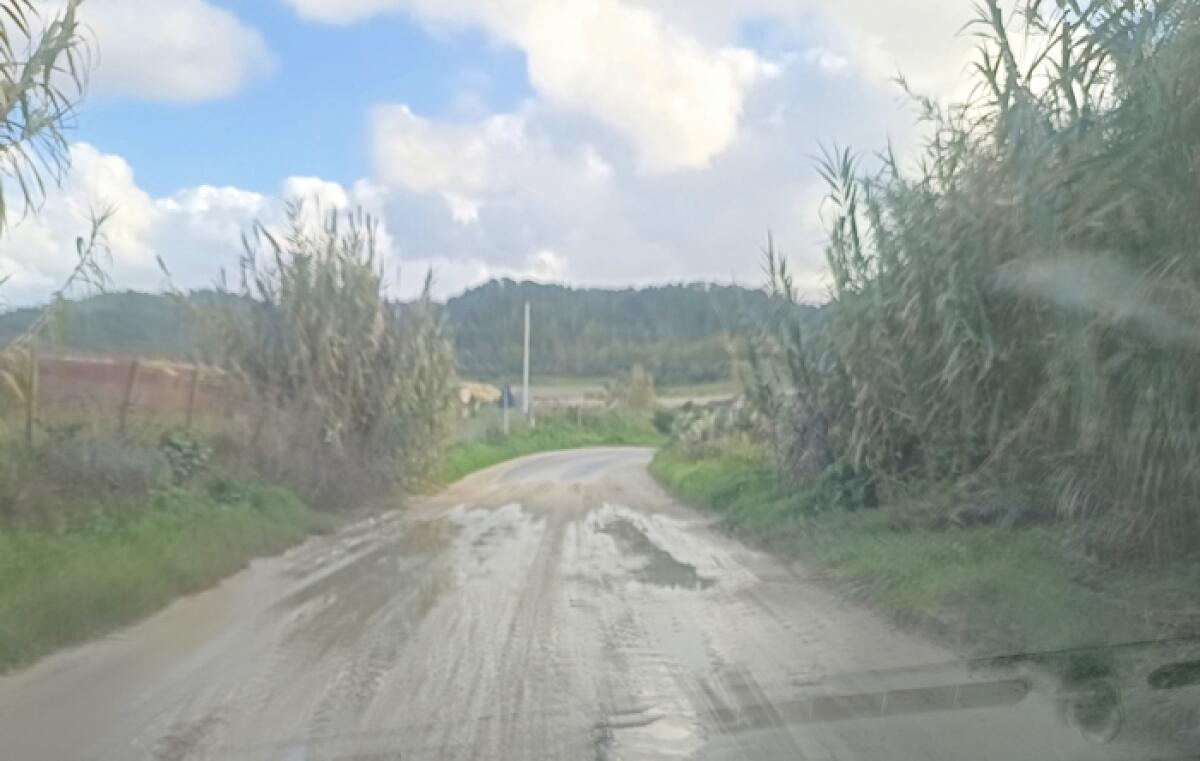 Viabilità: Borgo di Santo Pietro-Mazzarrone, la strada dei pericoli e del degrado - 