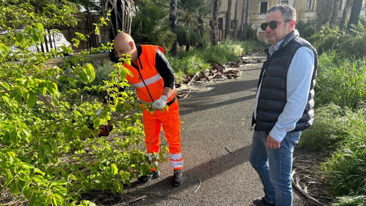 Caltagirone: interventi di pulizia all'Istituto Agrario - 