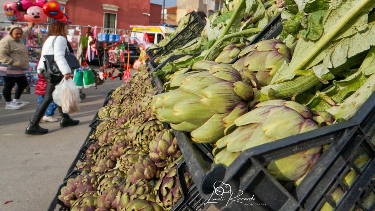 Ramacca, gran finale per la XXXIV Sagra del Carciofo - 