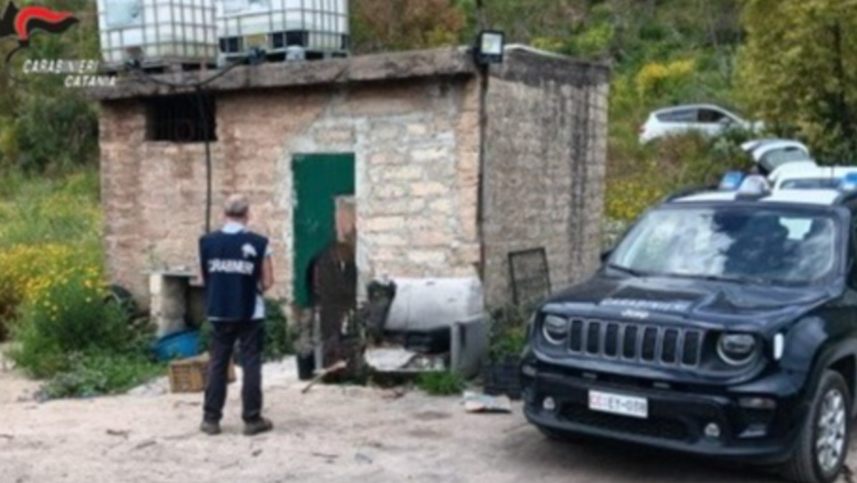Grammichele: illeciti ambientali, denunciata una 38enne - 