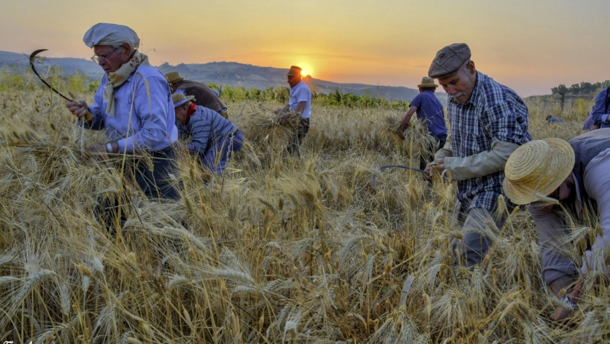 Raddusa, tutto pronto per la 30ª edizione della Festa del Grano - foto dalla pagina Facebook Festa del Grano - Raddusa
