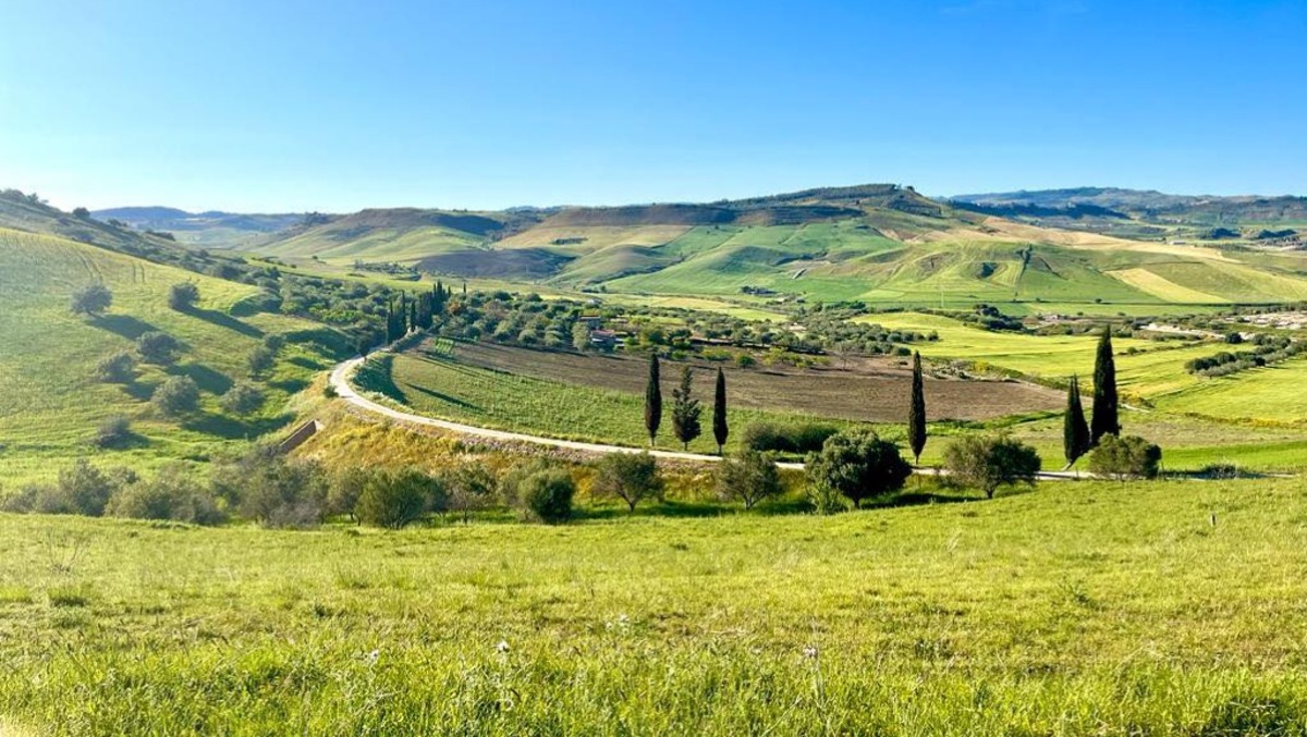Agricoltura. 11,3 milioni per diversificazione: la graduatoria - 