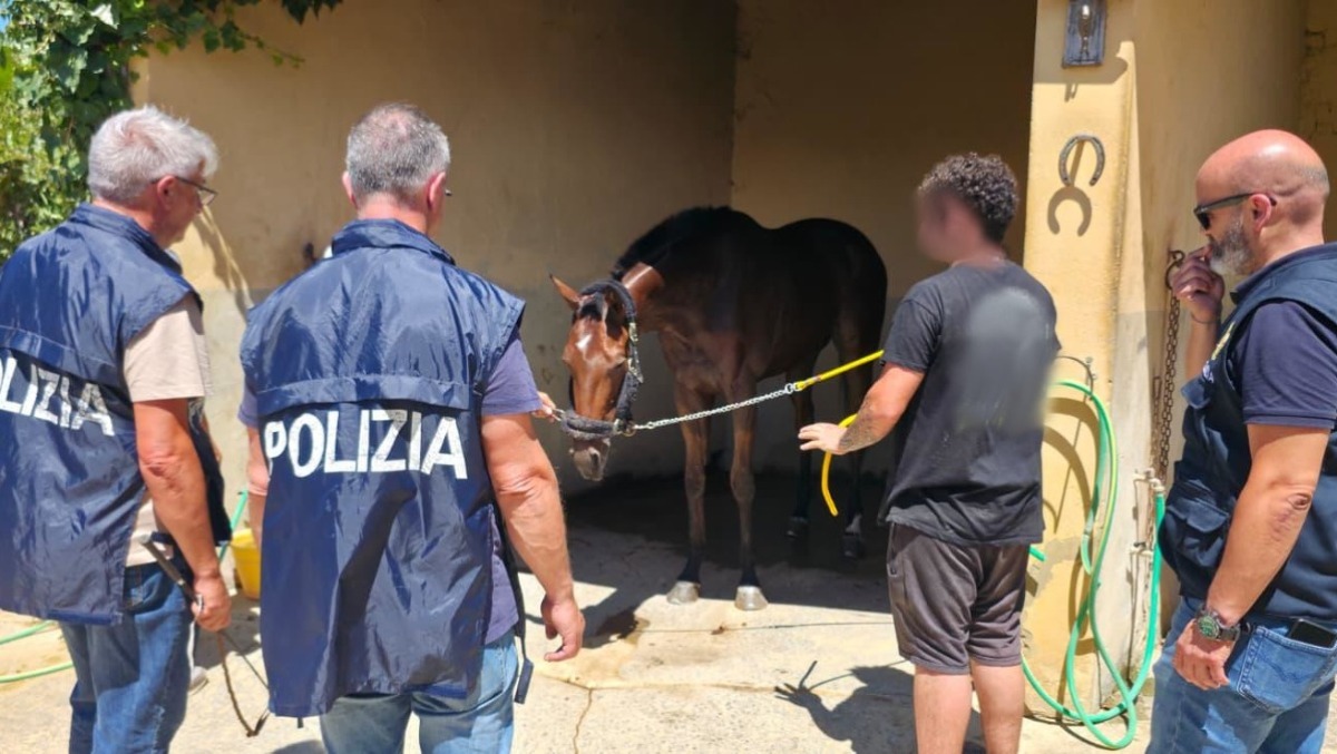 Caltagirone, sventata corsa clandestina: denunciati in due - 