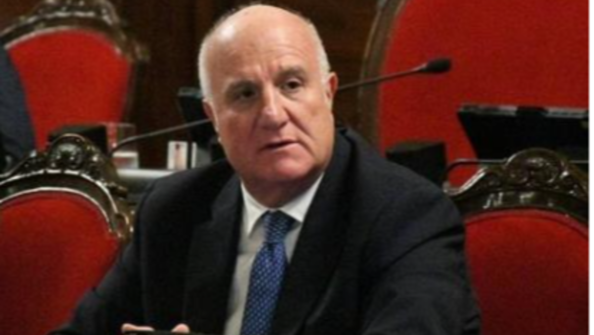 Randagismo, Regione completa l'iter di attuazione della legge - 
