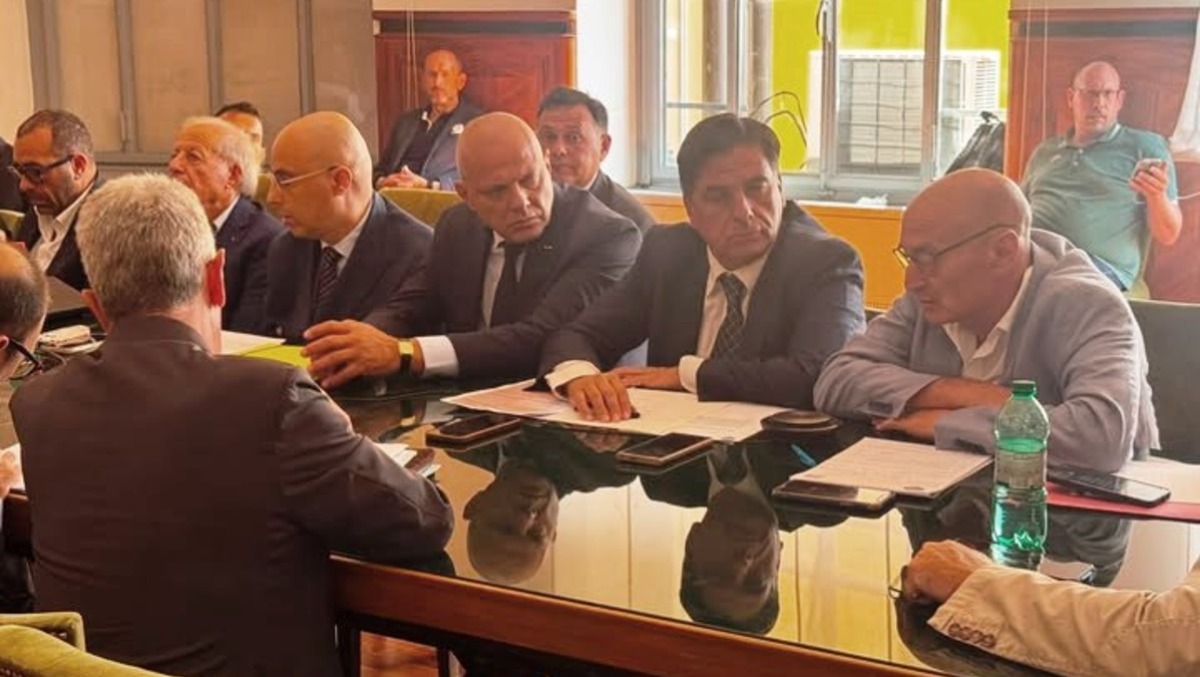 Pogliese (FdI) al tavolo tecnico MiMit su vertenza Pfizer Catania - 