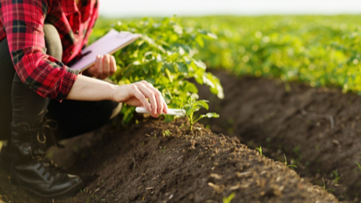 Agricoltura, contratto integrativo per quadri e impiegati - 