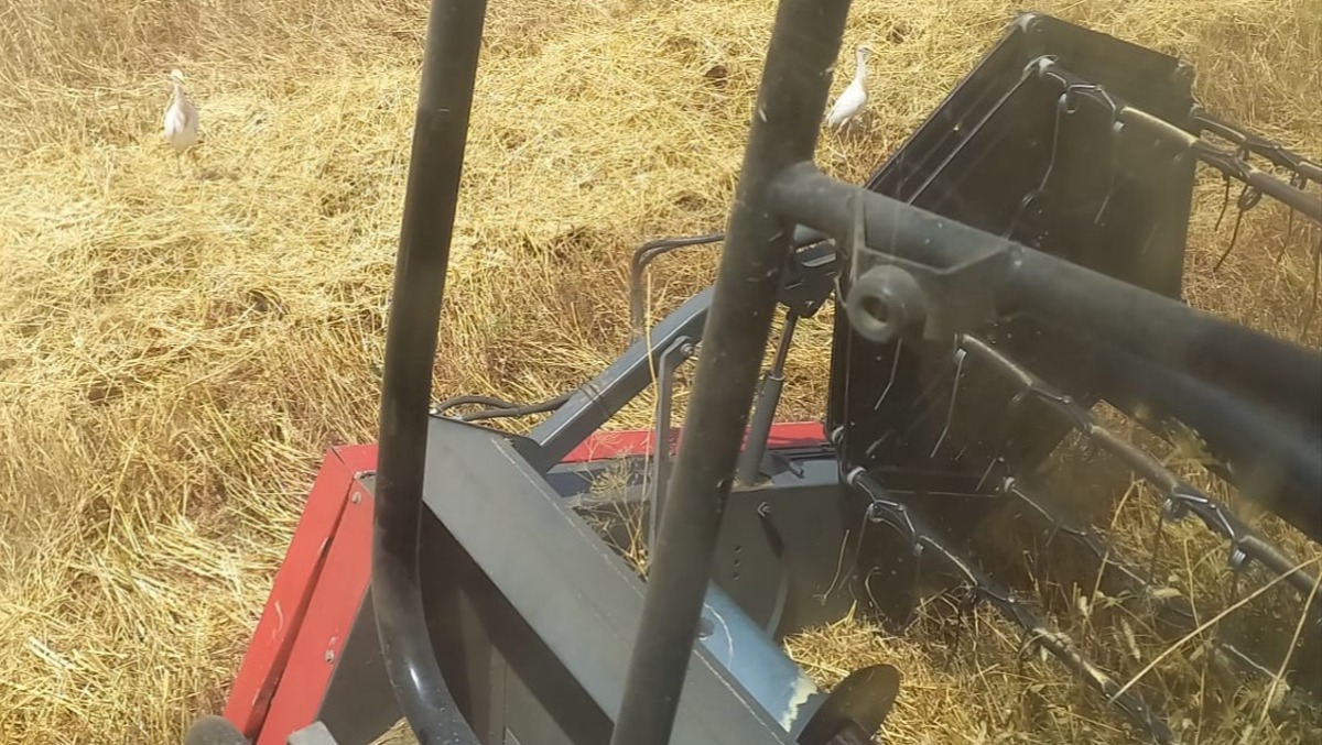 Agricoltura, 167 milioni per la filiera agroalimentare - 