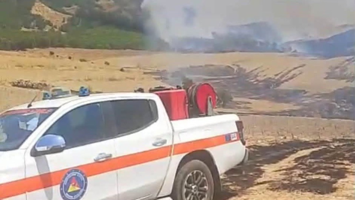 Emergenza incendi, l'allarme di Fare Verde: "Basta inerzia" - 