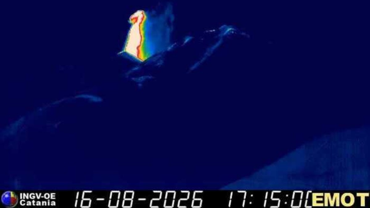Etna, nuova e intensa attività esplosiva - 