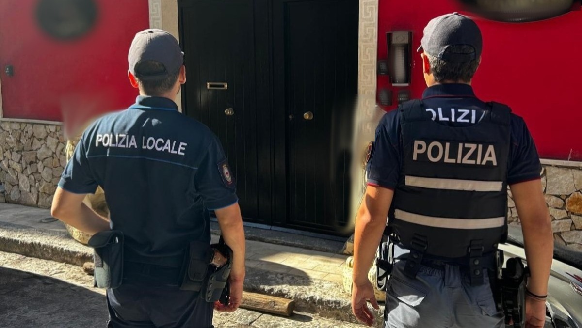 Catania: sequestrata finta "Uva di Mazzarrone" e 270 kg di frutta - 