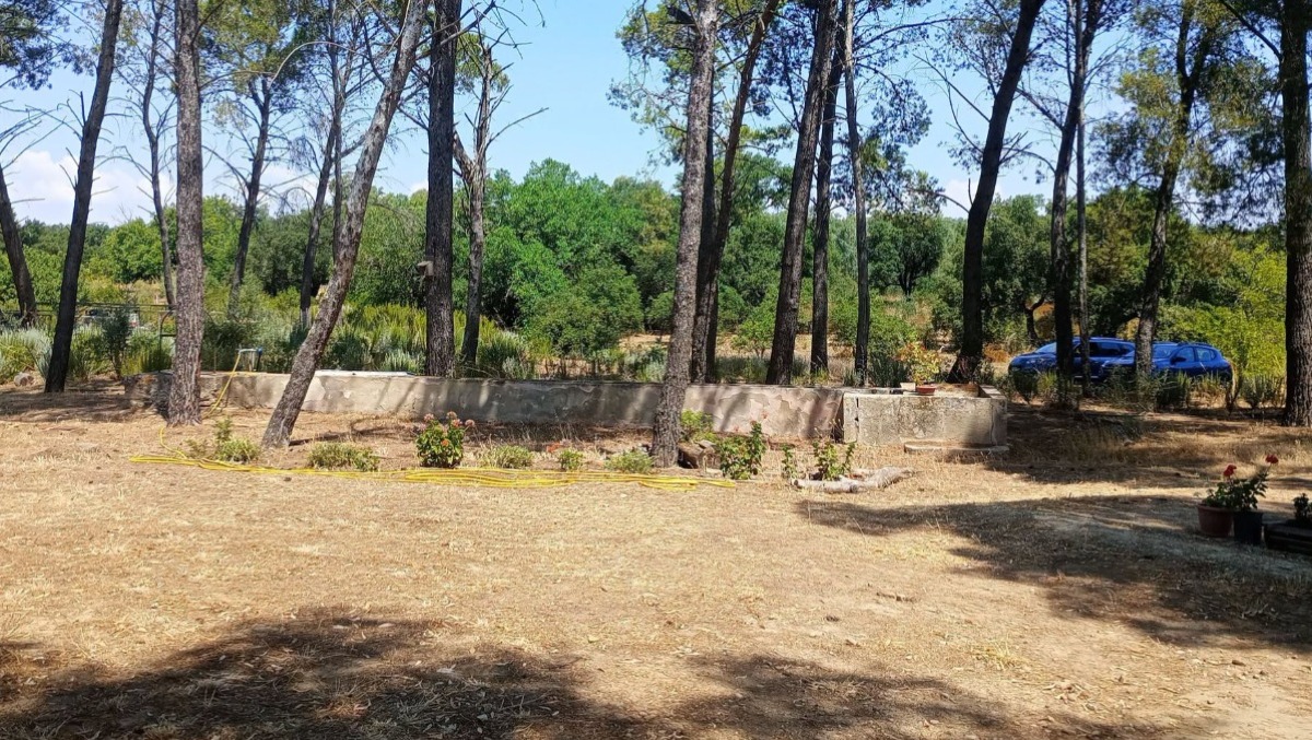 Caltagirone, ambiente: volontari in azione sulla Sp34 - 
