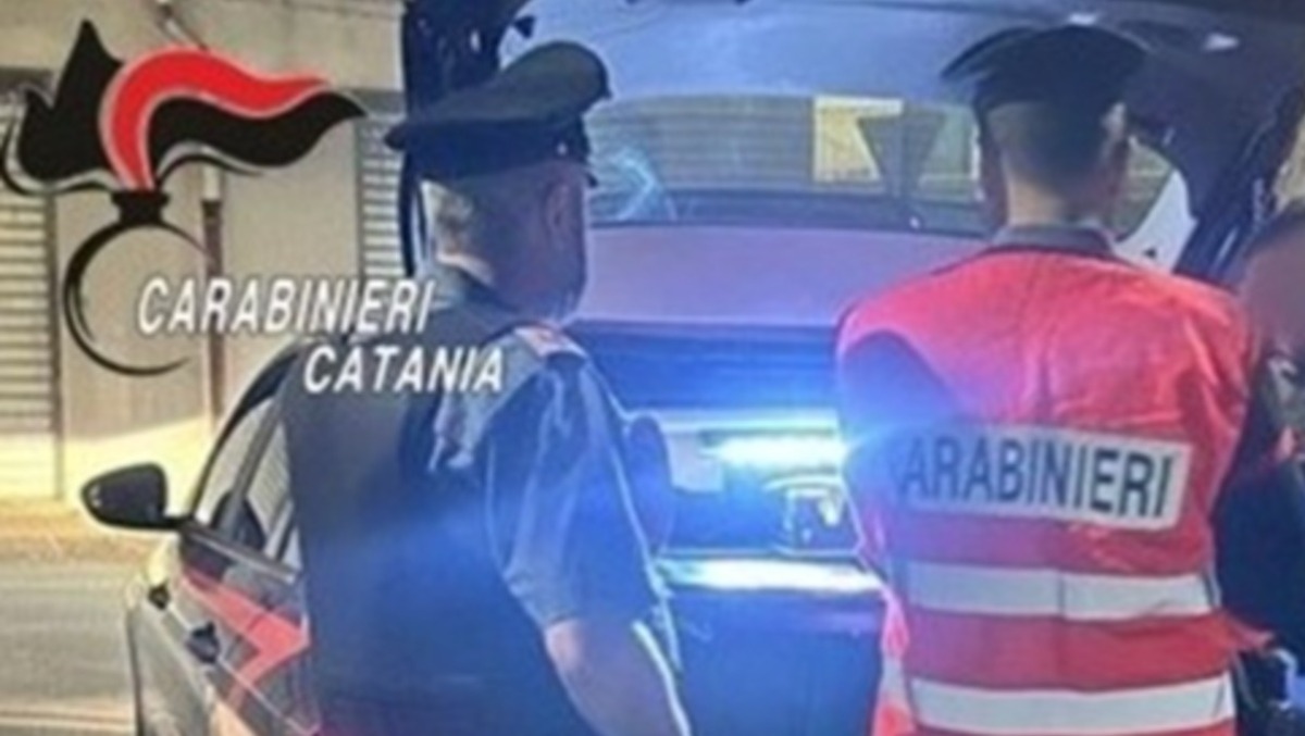 CARABINIERI. A Catania attività contrasto a illegalità diffusa - 
