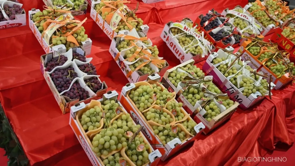 Sicilia, successo per le feste del Grano e dell’Uva - Foto di Biagio Tinghino