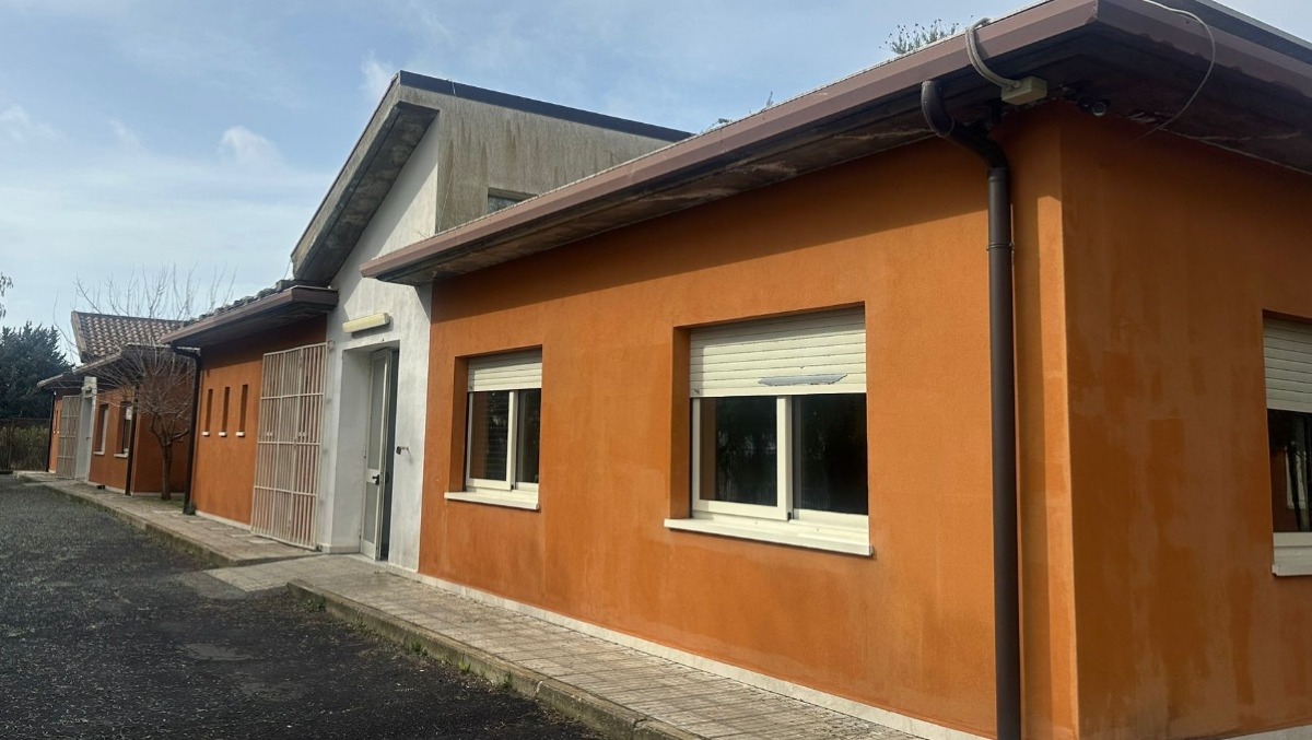 Vizzini, topi a scuola: chiuso per due giorni il plesso Albanicchi - 