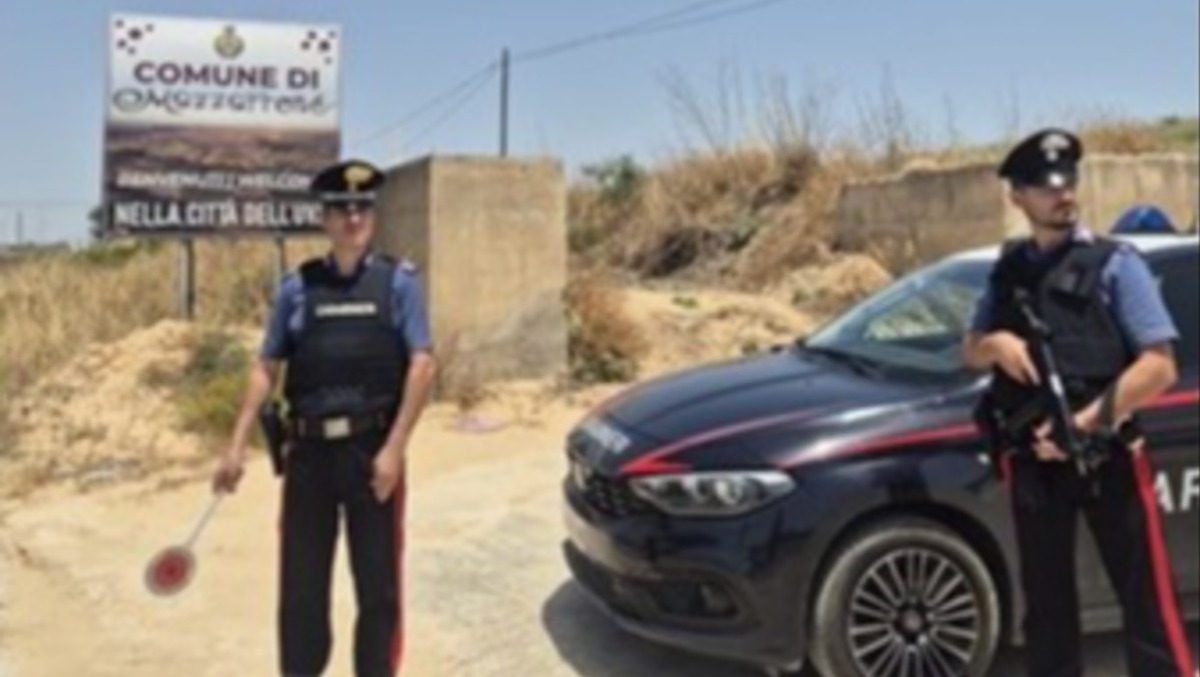 Fuga a piedi nei campi: 23enne denunciato dai Carabinieri - 
