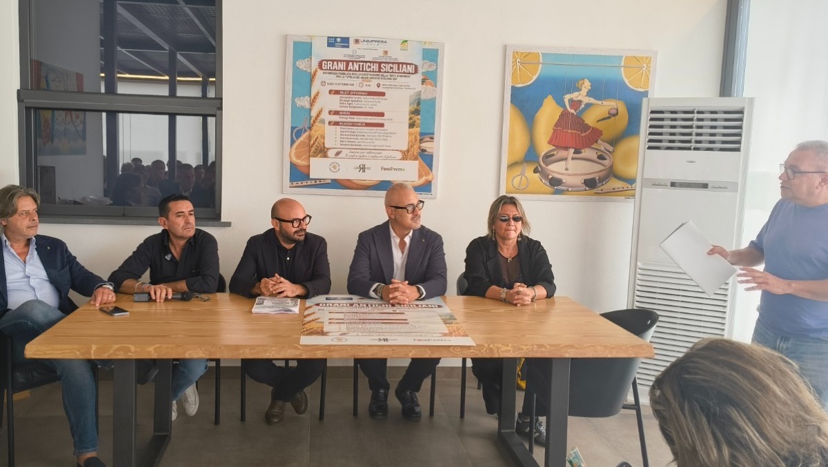 Grani Antichi Siciliani: al via la Rete d’Impresa per l’IGP - 