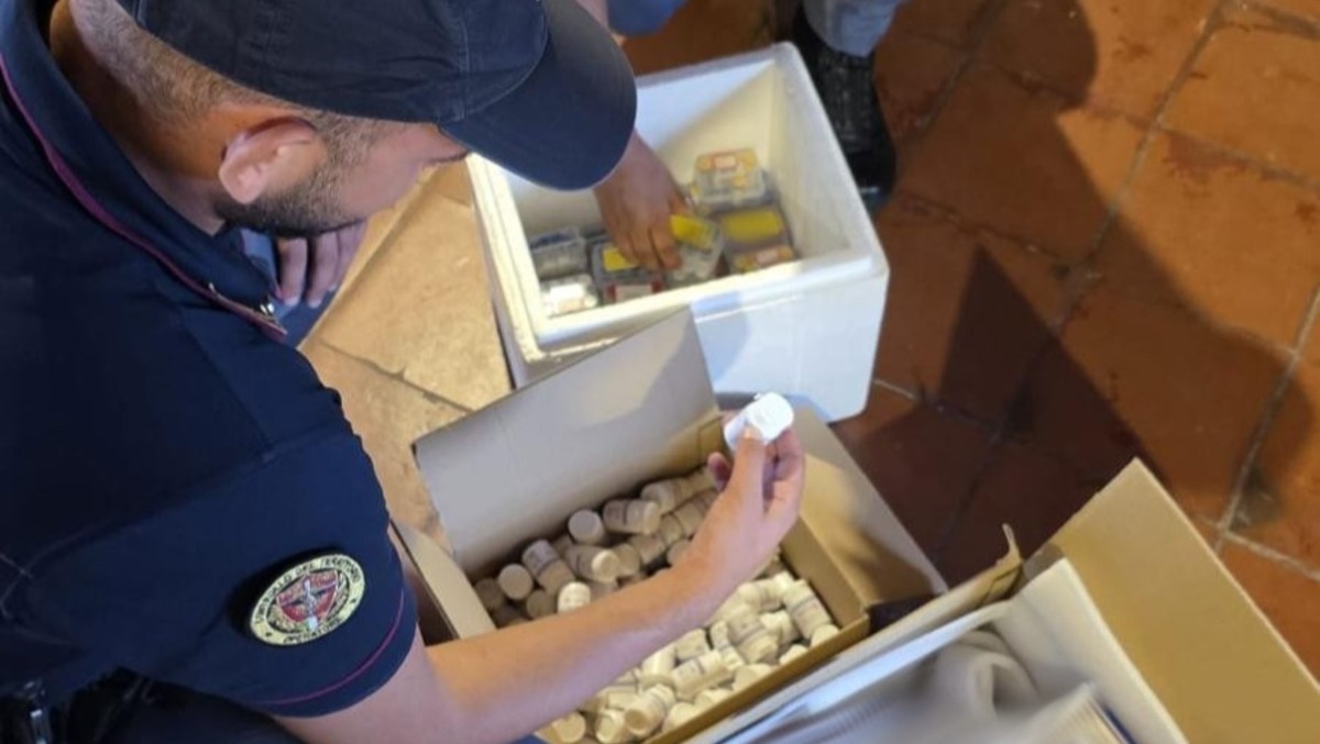 Caltagirone, maxi sequestro di dopanti: un uomo in arresto - 