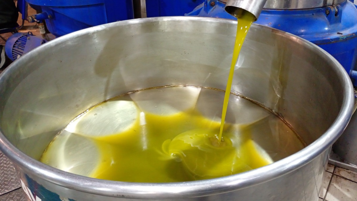 OLIO D'OLIVA, Lollobrigida: "C'è il DAO" per tutela olio italiano - 