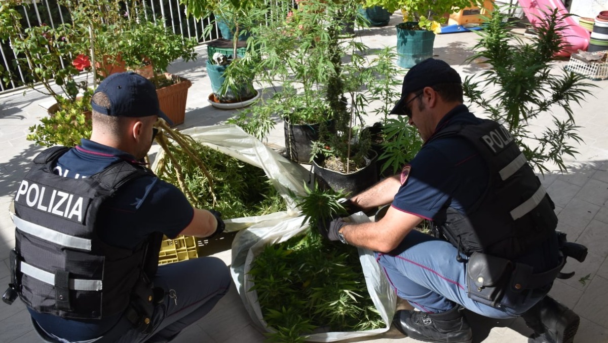 Caltagirone, piante di cannabis in casa: tre denunciati - 